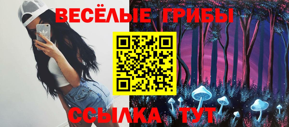 Галлюциногенные грибы Magic Shrooms  Вход с VPN  Галлюциногенные грибы Cubensis  Великий Новгород 